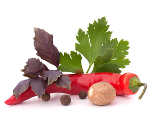 Hot red chili or chilli pepper and aromatic herbs leaves still l