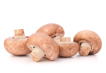 Brown champignon mushroom group