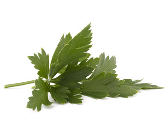 Sweet parsley leaves
