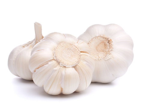 garlic bulb