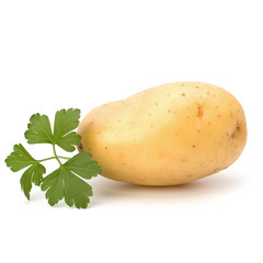 New potato and green parsley
