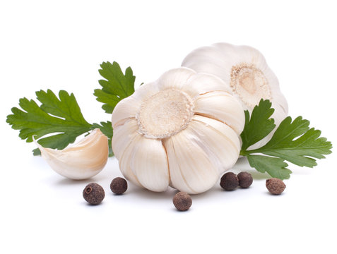 Garlic bulb and parsley leaf