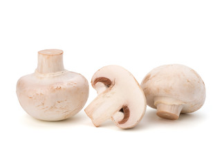 Champignon mushroom