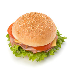 Junk food hamburger