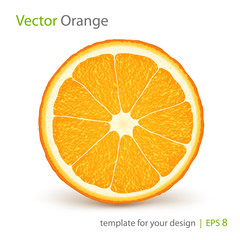 Vector fresh ripe slice of orange on white