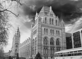 London - Natural History Museum