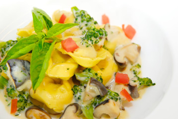 Tortellini pasta with mushroom, cabbage and cream sauce