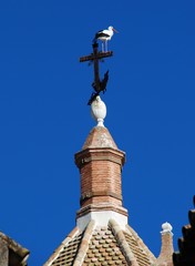 Stork on weather vane, Ecija, Spain © Arena Photo UK
