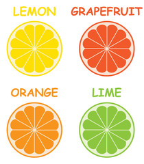 citrus vector collection
