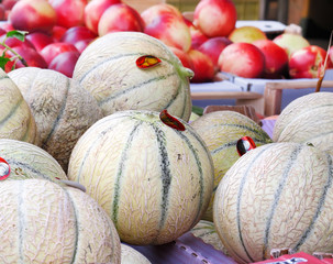 fruits au marché,alimentation,melons de cavaillon