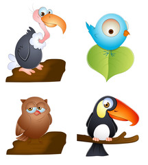 Birds Vectors