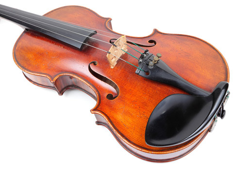 violin