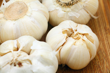 garlic