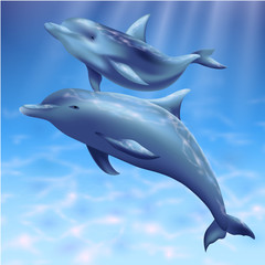 Naklejka premium Golfinhos