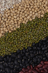 Five kinds of grain.