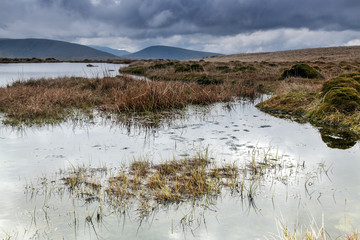 Lank Rigg Tarn