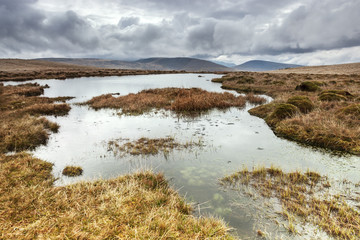 Lank Rigg Tarn