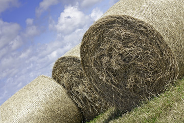 Hay Bales