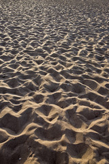 Background from beach sand