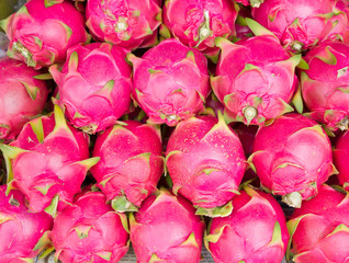 many dragon fruit