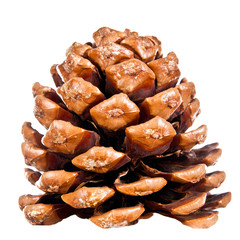 cone