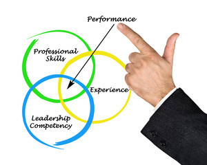 Diagram of performance