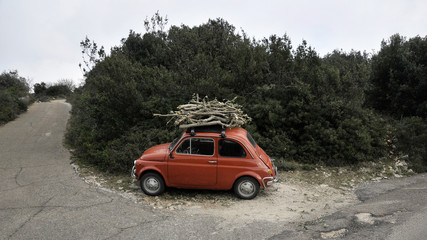 Fototapeta na wymiar automobile in campagna con la legna