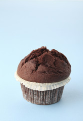 Chocolate Muffin