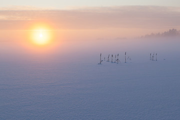 The frozen winter lake in wood under snow