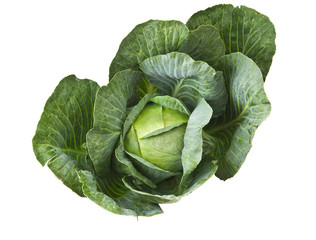 Fototapeta premium Cabbage isolated
