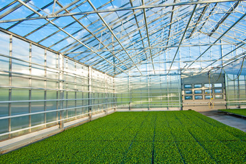 greenhouse in Norway