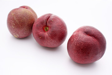 3 nectarines de vignes