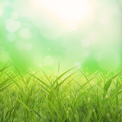 Obraz premium Soft grass background