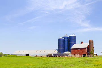 Fototapeta na wymiar Amerykańska Farmland
