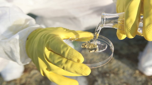 Scientific research: professionals checking a pattern of land