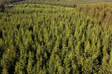 Fernblick über den Arnsberger Wald Sauerland NRW Deutschland