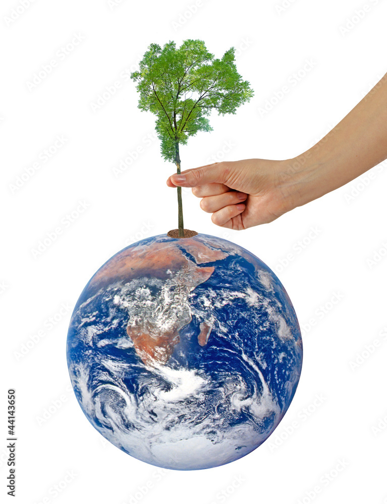 Wall mural tree on earth as a symbol of peace.elements of this image furnis