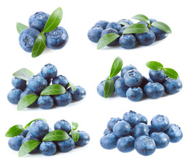 blueberries with leaf