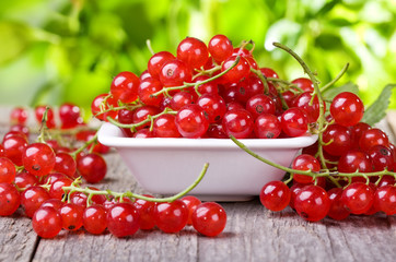 red currant