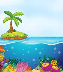 Photo sur Plexiglas Animaux de la forêt corail et palmier sur l& 39 île