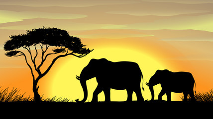 Obraz na płótnie Canvas Słoń pod drzewem