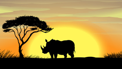 Fototapeta na wymiar Rhinoceros pod drzewem