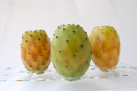 Higos chumbos, chumbera, nopal. Opuntia ficus indica