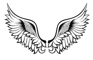 Wings. Tattoo design