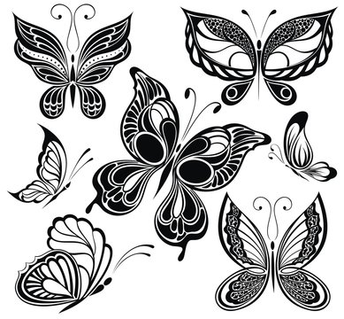 Black and white butterflies collection