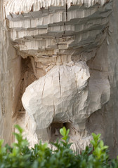 sculpture sur bois sanglier ardennais
