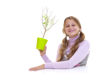 Schoolgirl and the pomegranate tree in the green pot