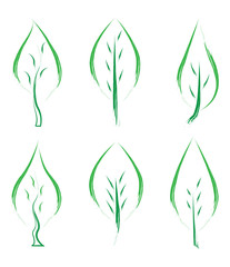 set of green leafs