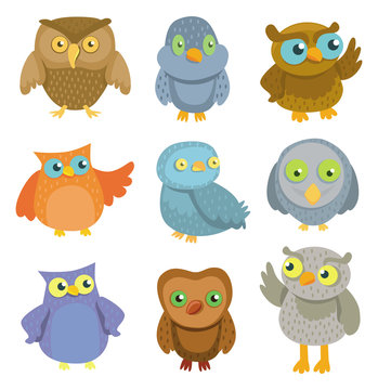 Collection of vector cartoon owls
