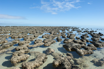 Stromalotites World Heritage Australia